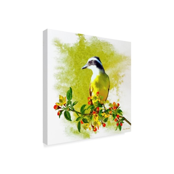 Ata Alishahi 'Bird Collection 23' Canvas Art,35x35